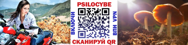 Купить закладки  Менделеевск  Псилоцибиновые грибы Magic Shrooms 